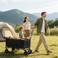 Gartenwagen klappbar mit herausnehmbarer Plane 100kg schwarz