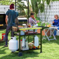 Grillstation Grillwagen mobil mit Zubehör Outdoor schwarz silber