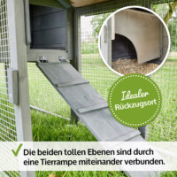 Großer Hasenstall mit zwei Freigehegen für mehr Platz und Bewegungsfreiheit.