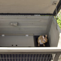 Geöffneter Hasenstall Adrian zeigt Innenraum mit integriertem Rückzugsbereich für Kaninchen.