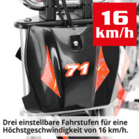 Hecht Kinder Elektro-Motorrad Dirtbike Rot 54300