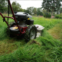 HECHT Benzin Kreiselmäher 5060 mit 60 cm Schnittbreite, 4-Takt-Motor, 2-stufigem Antrieb (2,3 / 3 km/h), Pendelmessern, höhenverstellbarem Lenkholm und robuster Schutzverkleidung – ideal für hohes Gras, Wiesen und unwegsames Gelände.