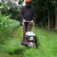 HECHT Benzin Kreiselmäher 5060 mit 60 cm Schnittbreite, 4-Takt-Motor, 2-stufigem Antrieb (2,3 / 3 km/h), Pendelmessern, höhenverstellbarem Lenkholm und robuster Schutzverkleidung – ideal für hohes Gras, Wiesen und unwegsames Gelände.