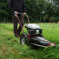 HECHT Benzin Kreiselmäher 5060 mit 60 cm Schnittbreite, 4-Takt-Motor, 2-stufigem Antrieb (2,3 / 3 km/h), Pendelmessern, höhenverstellbarem Lenkholm und robuster Schutzverkleidung – ideal für hohes Gras, Wiesen und unwegsames Gelände.