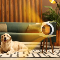 Ein kompakter Heizlüfter und Heizgerät in Weiss-Schwarz mit 1500W Leistung.