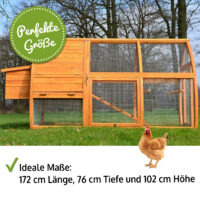 Hühnerstall Hühnerhaus Superhenne mit Nistkasten