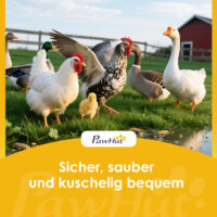 Hühnerstall mit Auslauf und Nistkasten für 4 Hühner aus Holz