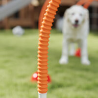 Hund Agility Trainingsset verstellbar mit Tragetasche für Hunde