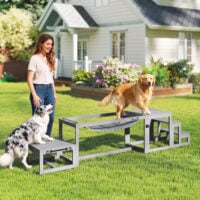 Hunde Agility Set mit Brücke Treppe und Plattform aus Holz