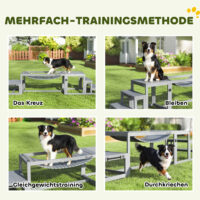 Hunde Agility Set mit Brücke Treppe und Plattform aus Holz
