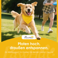 Hunde Agility Set mit Brücke Treppe und Plattform aus Holz