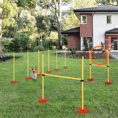 Gelbes 3-in-1 Hunde Agility Set mit praktischer Tragetasche, bietet verschiedene Trainingsmöglichkeiten für Agility-Sport.
