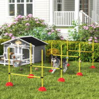 Hunde Agility Set mit 4 Hürden und Tragetasche für Sprungtraining