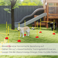 Hunde Agility Set mit 4 Hürden und Tragetasche für Sprungtraining