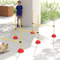 Hunde Agility Set mit 4 Hürden und Tragetasche für Sprungtraining