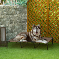 Hundebett Outdoor erhöht faltbar für grosse Hunde
