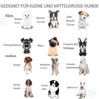Hundegitter klappbar extra breit für innen aus Holz schwarz