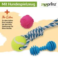 Hundepool CoolWave Faltpool 160×30 cm rutschfest und stabil