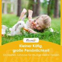 Freilaufgehege Kaninchenstall wetterfest für Zwergkaninchen aus Holz