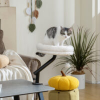 Katzenbett höhenverstellbar drehbar für Schreibtisch waschbar