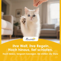 Katzenbett höhenverstellbar drehbar für Schreibtisch waschbar