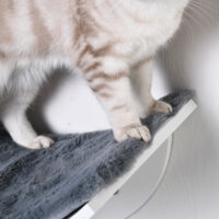 Weiss-graues Katzenbett zur Wandmontage mit flauschiger Plüschauflage, ein stilvoller und komfortabler Ruheplatz.