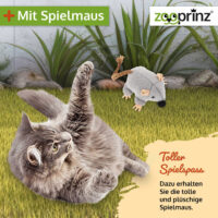 Katzenhaus Katerli, ein sicherer und geschützter Rückzugsort für Ihre Katze.