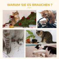 Naturfarbenes Katzenhaus aus Tannenholz, Masse 70x35x60cm, ein charmantes und gemütliches Heim für Ihre Katze.