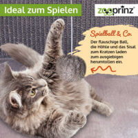 Katzenhöhle CosyCave Beige robust mit Sisal und Plüsch