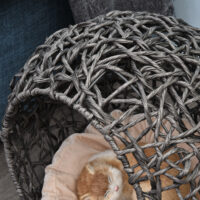 Katzenhöhle Katzenhaus mit Kissen Ø52x58cm Grau - Weiche Katzenhöhle für Haustiere, in stilvollem Grau.