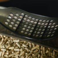 Weiss-graues Katzenklo mit Bodenwanne, Filter und Schaufel, für eine saubere und geruchsfreie Katzentoilette.