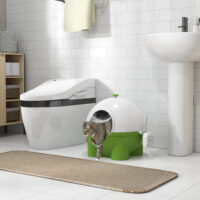 Grün-weisses Katzenklo mit Deckel, ideal für den Innenbereich, sorgt für hygienische Sauberkeit.