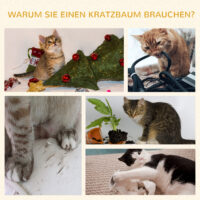 Kratzbaum für Katzen mit 3 Ebenen aus Sisal und Plüsch, bietet Abwechslung zum Kratzen, Klettern und Ruhen.