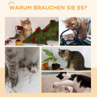 Katzenlaufrad mit Bremse und Kratzbrett 91cm Eiche