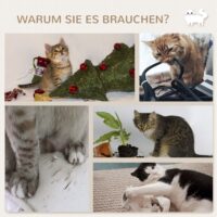Braune 4-teilige Katzenkletterwand mit Hängematte, belastbar bis 5kg.
