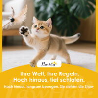 Katzenturm Kratzbaum mit Schlafhöhlen für mehrere Katzen grau
