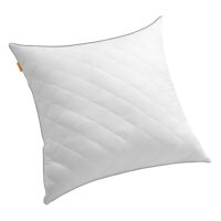 Hochwertiges Bettkissen 80x80 cm mit doppelseitigem Design – kühlende Sommerseite und weiche Winterseite. Gefüllt mit 1200 g atmungsaktiven, pflegeleichten Polyesterfasern. Farbe: Wolkenweiß, Material: Polyester, Polyamid, Gewicht: 1,5 kg. Ideal für ganzjährigen Komfort.