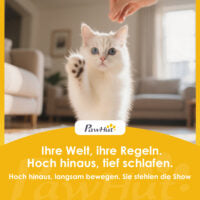 Kratzbaum mehrstöckig mit Höhle für Katzen 114cm hellgrau