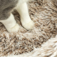 Brauner Kratzbaum mit Bett und robusten Sisal-Kratzsäulen, 87cm hoch, für Katzen bis 6kg, bietet Komfort und Krallenpflege.