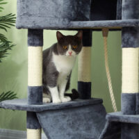 Kratzbaum gross mit Höhle und Sisalstämmen für grosse Katzen 206cm