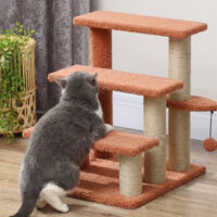 Kratzbaum Haustiertreppe mit 3 Stufen und Spielball für Katzen