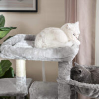 Kratzbaum mit Höhlen und Liegeflächen, ideal für Katzen zum Klettern, Spielen und Schlafen. Robuste Konstruktion mit Anti-Kipp-Vorrichtung für sicheren Halt.