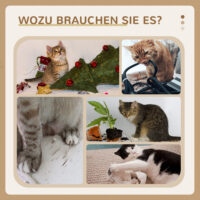 Kratzbaum mit Katzenbett und Spielball 49cm hoch grau
