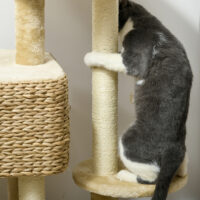 Beiger Kratzbaum mit Spielball und Sisal-Stämmen, 98cm hoch, fördert das Spiel und die Krallenpflege.