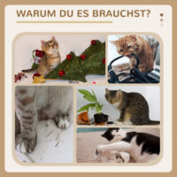 Stabiler Kratzbaum in Grau und Weiss mit drei Plattformen und integrierter Katzenhöhle, bietet Katzen viel Platz zum Klettern und Entspannen.