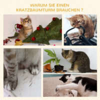 Graue stabile Kratzsäulen für Katzen mit integrierter Plattform, ideal zum Krallenwetzen und Klettern.