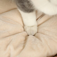 Hellbraune Kratztonne aus Wasserhyazinthe mit zwei Höhlen, 50cm hoch, belastbar bis 35kg, ideal für Katzen zum Kratzen und Verstecken.