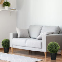 Künstliche Zeder 45 cm hoch im 2er-Set als Dekopflanze für Indoor & Outdoor in Grün.