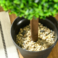 Künstlicher Buchsbaum im 2er-Set, 90 cm hoch, pflegeleicht und dekorativ.