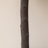 Kunstpflanze Buchsbaum im 2er-Set, 60 cm hoch, naturgetreu.